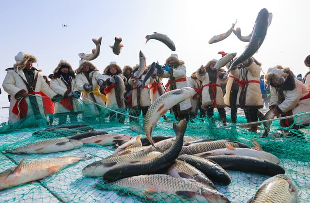 新疆博斯腾湖:人欢鱼跃冬捕忙