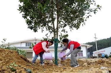 贵州:义务植树为大地添绿