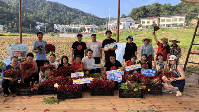 湖南长沙:十万支百合花 致敬星城守护者